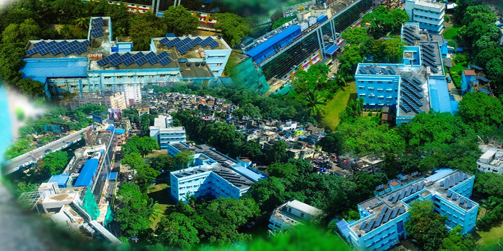 Eco Friendly Campus